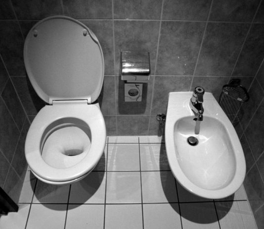 Bidet v koupelně: Ano nebo ne?