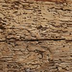 wood-1682101_960_720