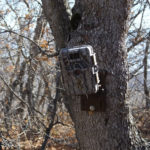 browning-recon-force-trail-camera-l