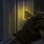 burglar_at_night_window_crowbar_flashlight_glove_dark-487778